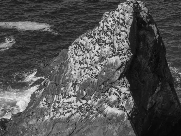 İskoçya 'da Lerwick şehrinin bulunduğu shetland adaları 