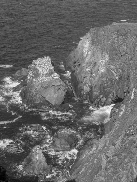 İskoçya 'da Lerwick şehrinin bulunduğu shetland adaları 