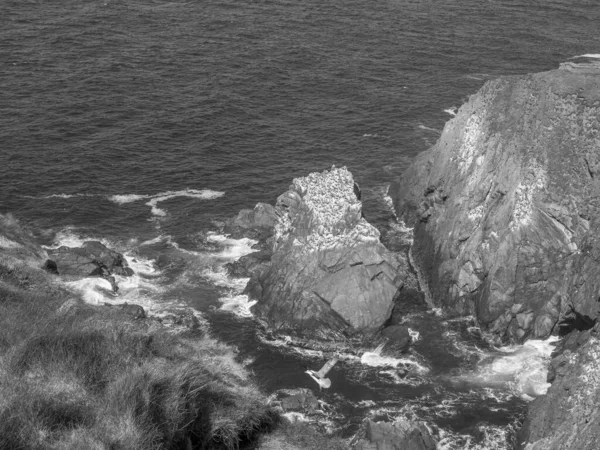 İskoçya 'da Lerwick şehrinin bulunduğu shetland adaları 