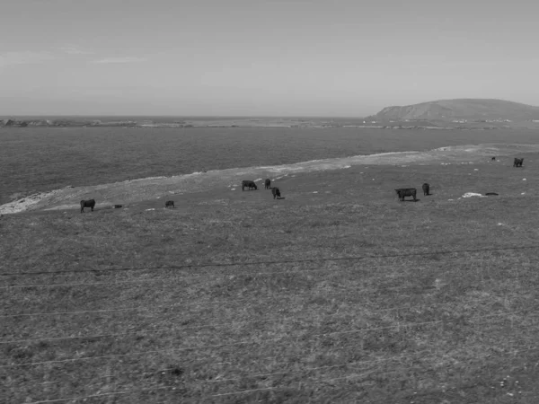 Skoçya Lerwick Şehrinin Bulunduğu Shetland Adaları — Stok fotoğraf