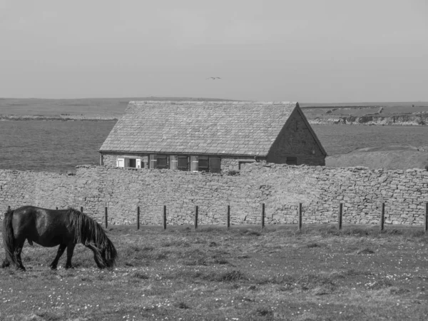 Isole Shetland Con Città Lerwick Scozia — Foto Stock