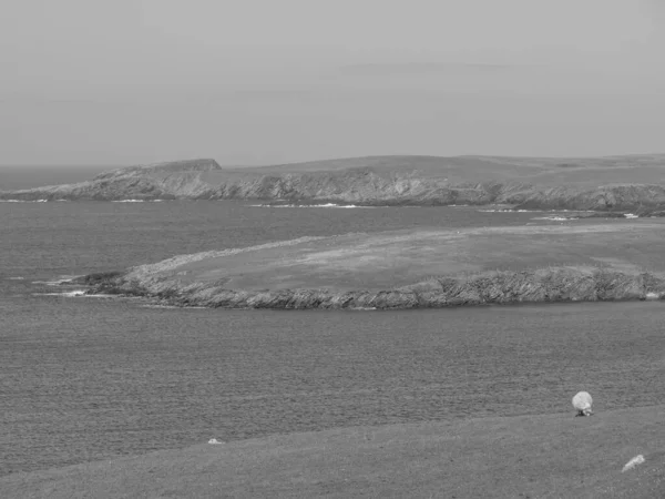 Las Islas Shetland Con Ciudad Lerwick Escocia —  Fotos de Stock