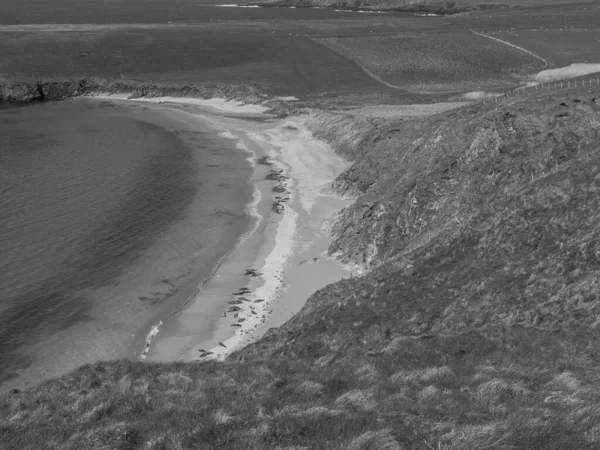 Skoçya Lerwick Şehrinin Bulunduğu Shetland Adaları — Stok fotoğraf