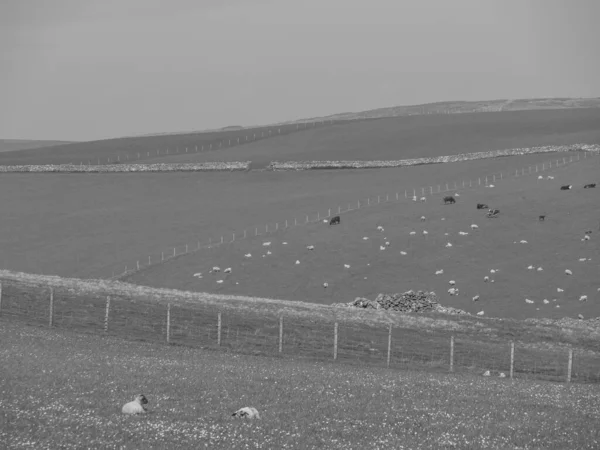 Shetlandi Szigetek Lerwick Városával Skóciában — Stock Fotó