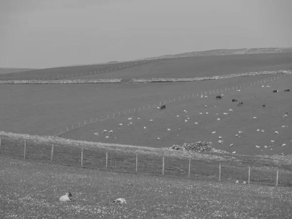 Isole Shetland Con Città Lerwick Scozia — Foto Stock