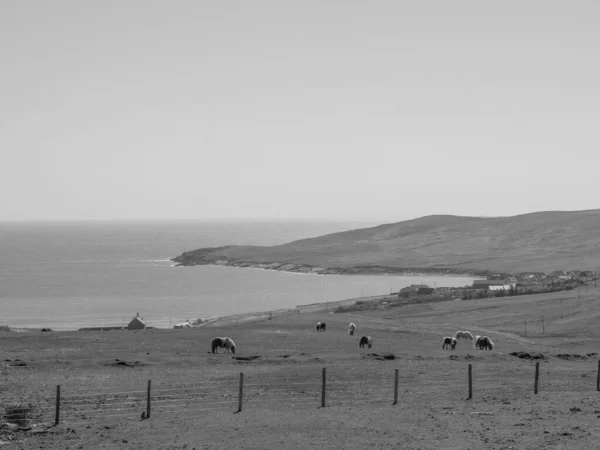 Shetlandské Ostrovy Městem Lerwick Skotsku — Stock fotografie