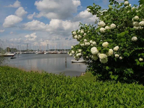 Cidade Kappeln Rio Schlei Alemanha — Fotografia de Stock