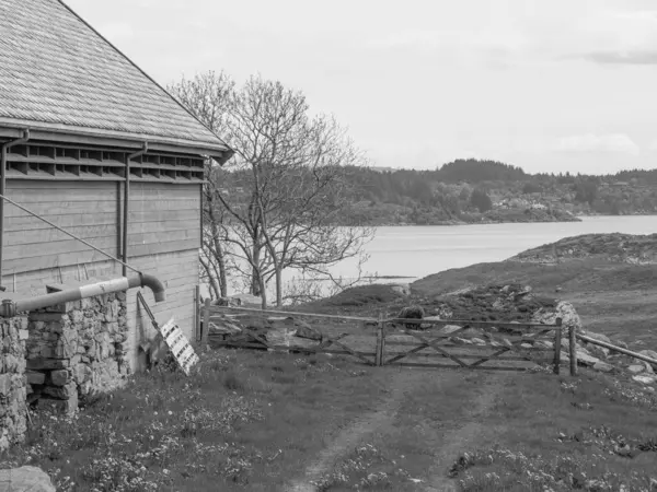 Haugesund Város Norvégiában — Stock Fotó