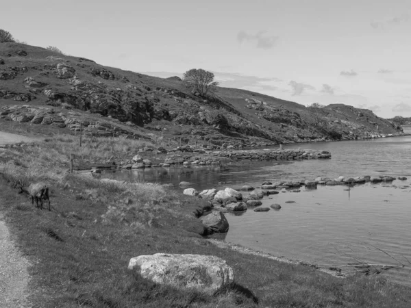 Πόλη Hugesund Στο Norway — Φωτογραφία Αρχείου