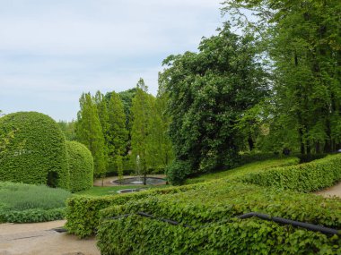 Newcastle şehriyle Kuzey İngiltere kıyıları