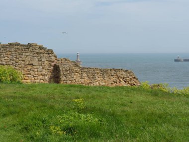  Newcastle şehriyle Kuzey İngiltere kıyıları