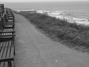 Newcastle şehriyle Kuzey İngiltere kıyısında.