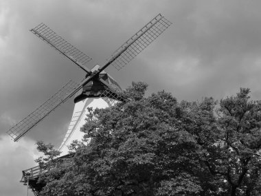 Almanya 'nın kuzeyinde Schleswig' de schlei nehrinde