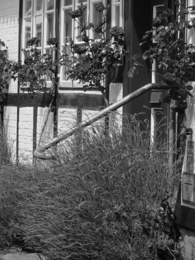 Almanya 'nın kuzeyinde Schleswig' de schlei nehrinde