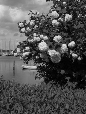 Almanya 'nın Schlei nehrindeki küçük Arnis şehri.