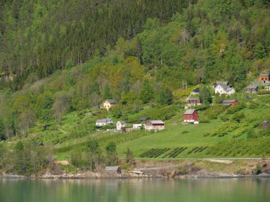 Norveç limanındaki küçük Eidfjord köyü