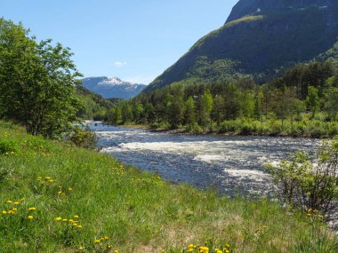 Norveç limanındaki küçük Eidfjord köyü