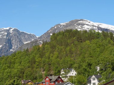 Norveç limanındaki küçük Eidfjord köyü