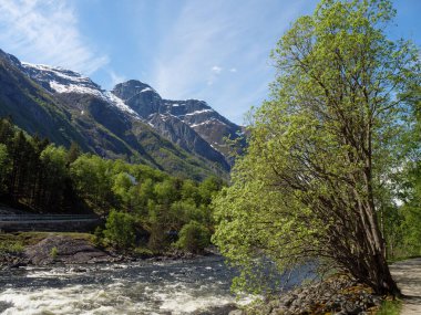Norveç limanındaki küçük Eidfjord köyü