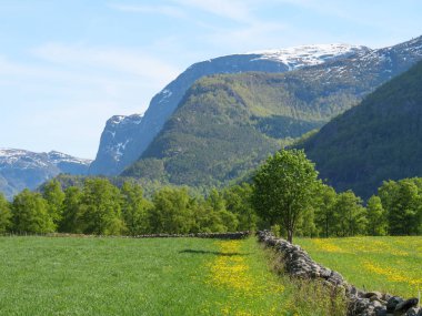 Norveç limanındaki küçük Eidfjord köyü