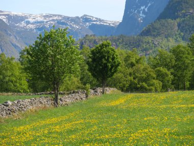 Norveç limanındaki küçük Eidfjord köyü