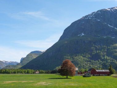 Norveç limanındaki küçük Eidfjord köyü