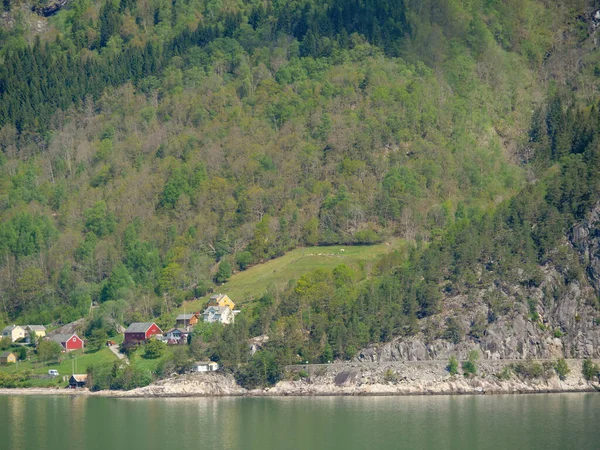 Petit Village Eidfjord Dans Hardangerfjord Nord — Photo