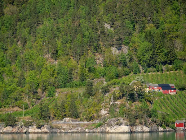 Pequena Aldeia Eidfjord Fiorde Hardangerfjord — Fotografia de Stock