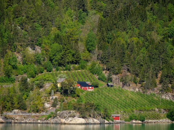 挪威人危险峡湾中的小村庄Eidfjord — 图库照片
