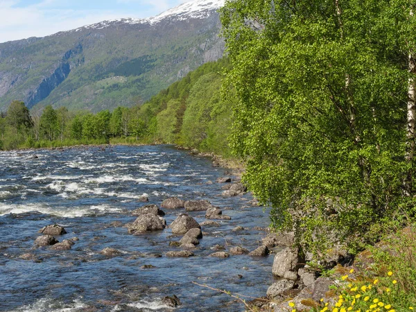 Pequena Aldeia Eidfjord Fiorde Hardangerfjord — Fotografia de Stock