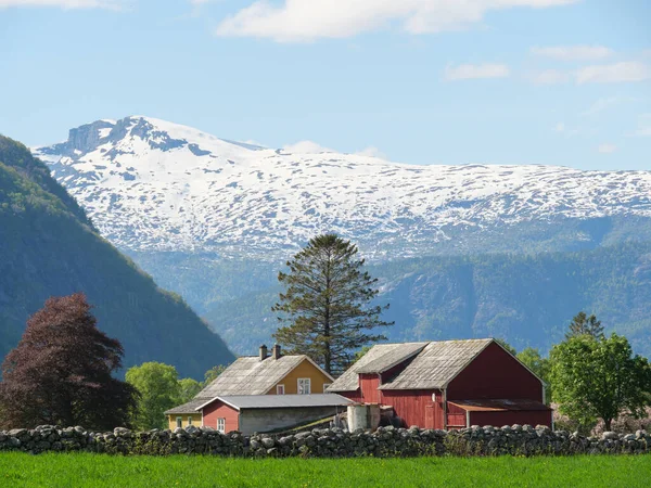 Kis Falu Eidfjord Norvégiai Hardangerfjord — Stock Fotó