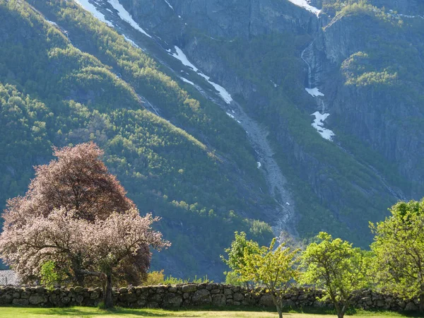 Kis Falu Eidfjord Norvégiai Hardangerfjord — Stock Fotó