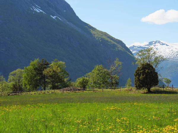 Pequena Aldeia Eidfjord Fiorde Hardangerfjord — Fotografia de Stock