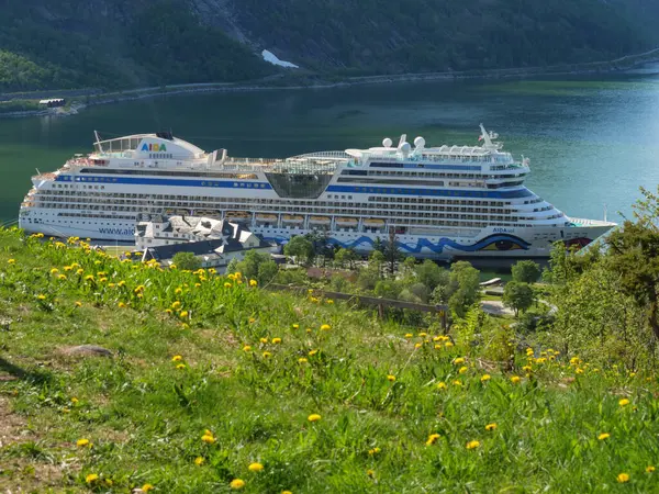 Mała Wioska Eidfjord Norweskim Hardangerfjord — Zdjęcie stockowe