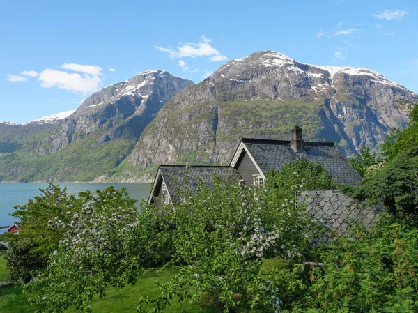 Pequeño Pueblo Eidfjord Norte Hardangerfjord — Foto de Stock