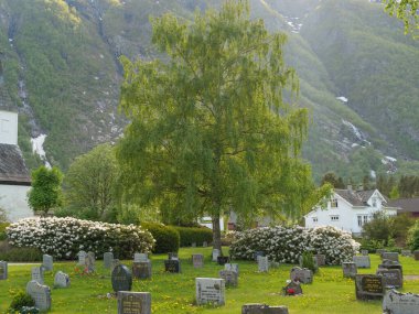 Norveç limanındaki küçük Eidfjord köyü