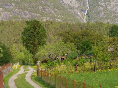 Norveç limanındaki küçük Eidfjord köyü