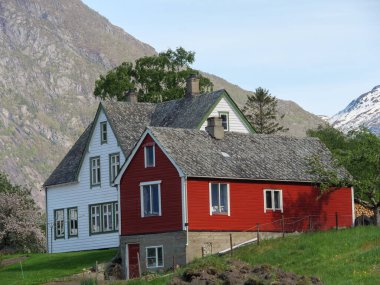 Norveç limanındaki küçük Eidfjord köyü
