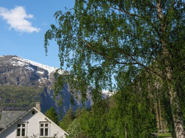 Norveç limanındaki küçük Eidfjord köyü