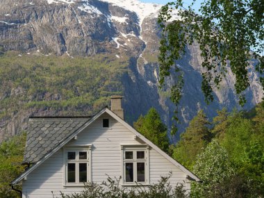 Norveç limanındaki küçük Eidfjord köyü