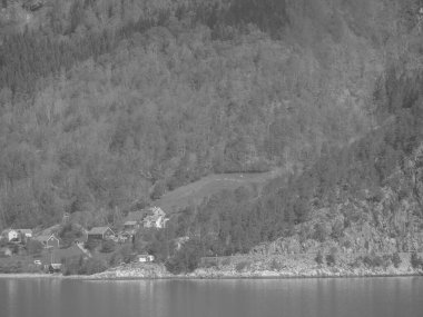 Norveç limanındaki küçük Eidfjord köyü