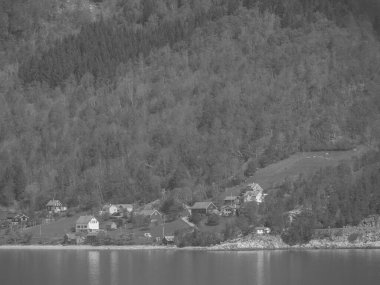Norveç limanındaki küçük Eidfjord köyü