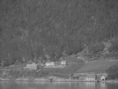 Norveç limanındaki küçük Eidfjord köyü