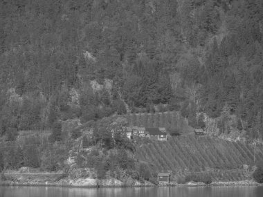 Norveç limanındaki küçük Eidfjord köyü