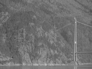 Norveç limanındaki küçük Eidfjord köyü