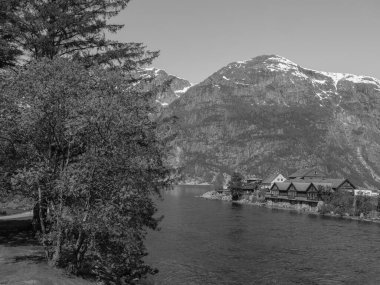 Norveç limanındaki küçük Eidfjord köyü