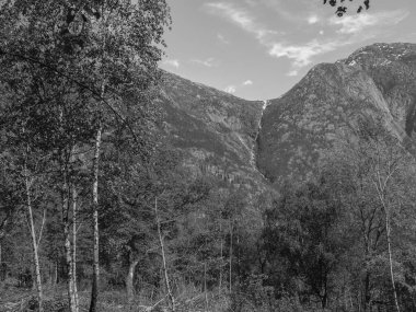 Norveç limanındaki küçük Eidfjord köyü