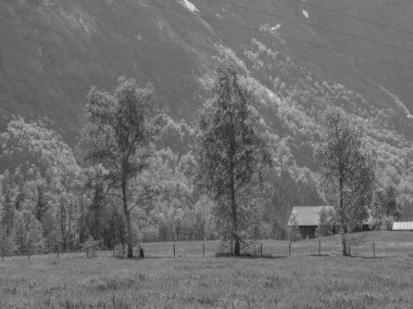 Norveç limanındaki küçük Eidfjord köyü
