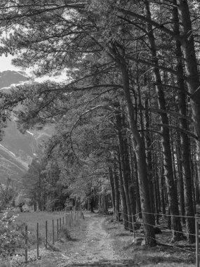 Norveç limanındaki küçük Eidfjord köyü
