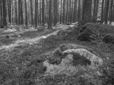 Norveç limanındaki küçük Eidfjord köyü